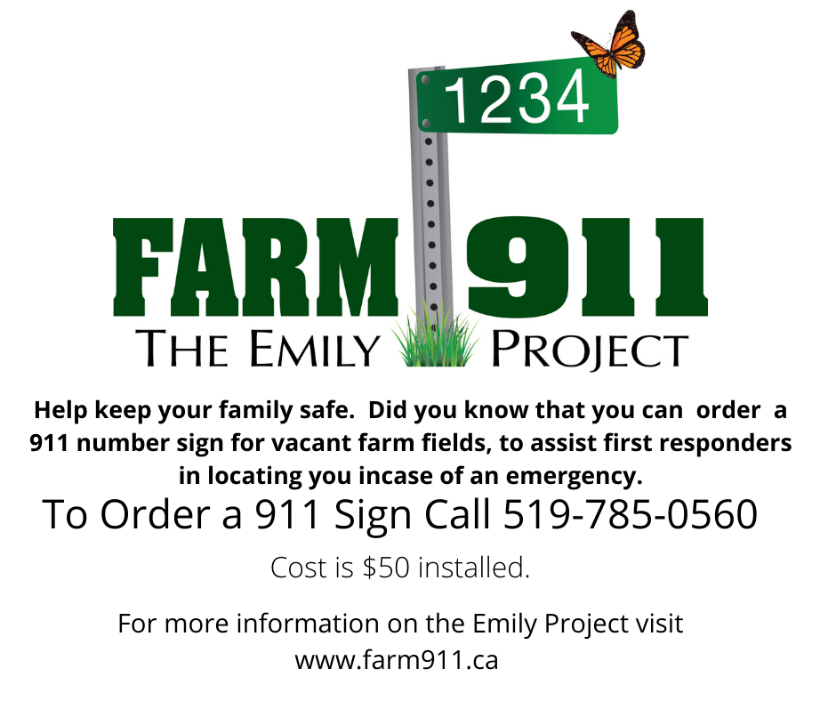 Emily Project