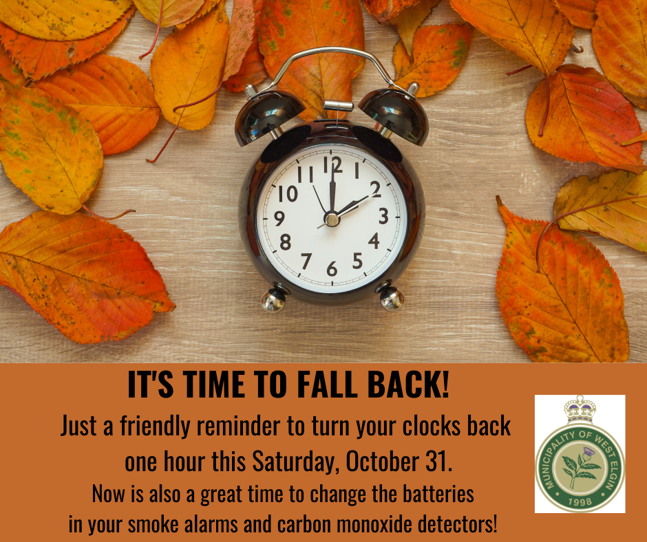 Fall Back Image