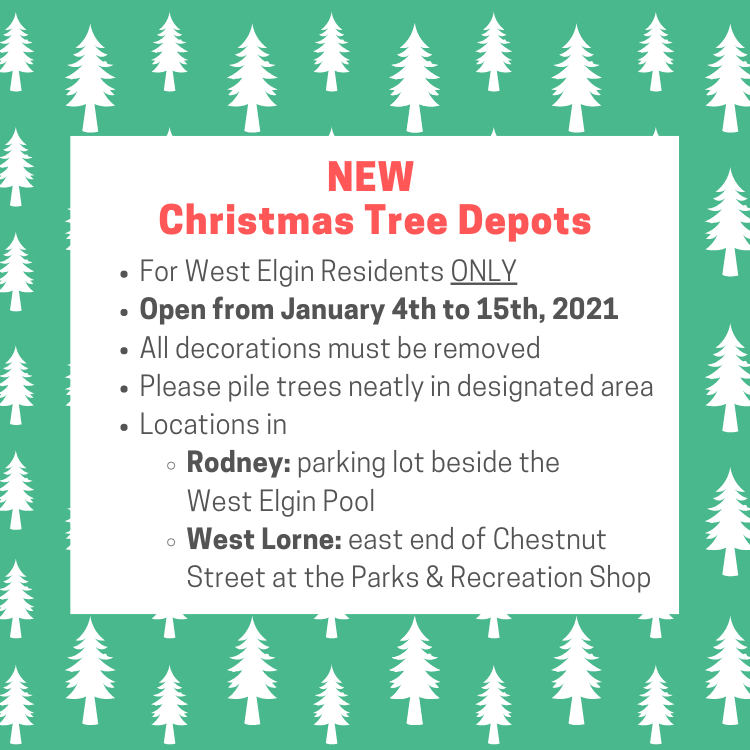 2021 Christmas Tree Depots