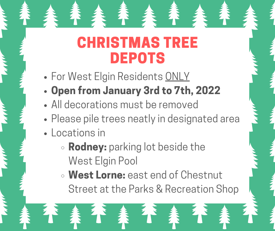 Christmas Tree Depot 2021