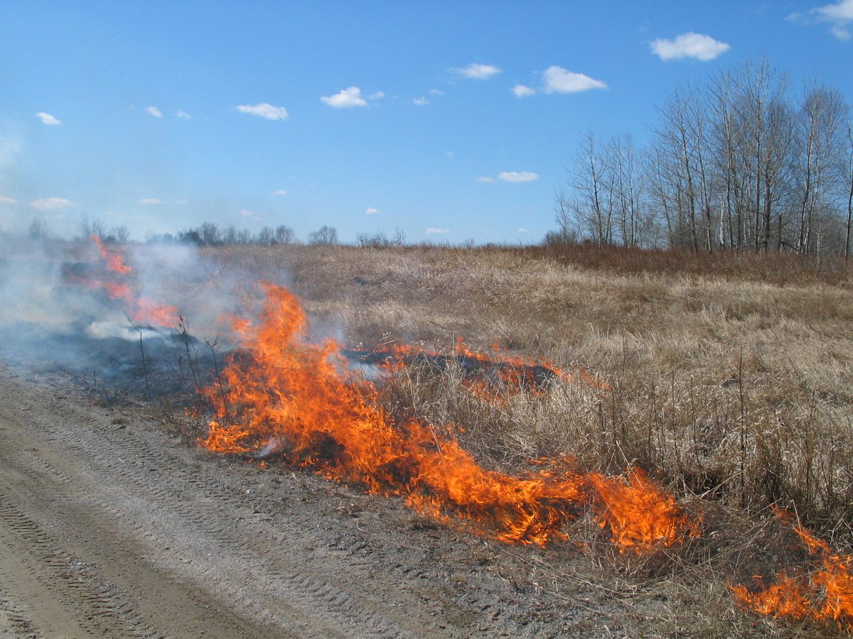 Grass Fire