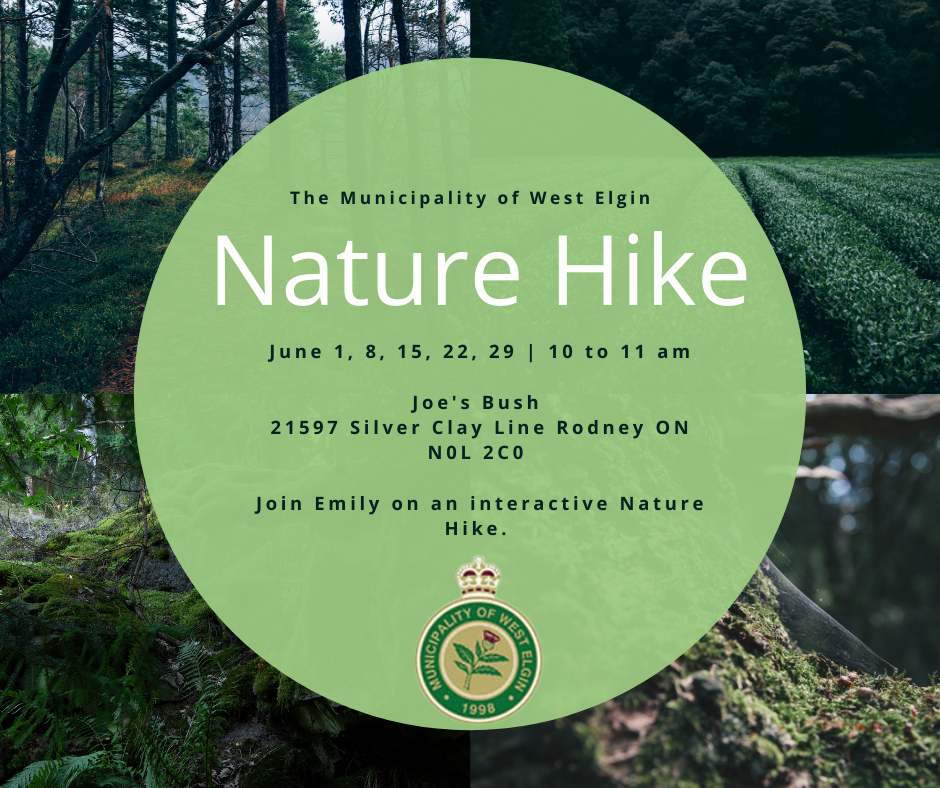 Nature Hikes June 