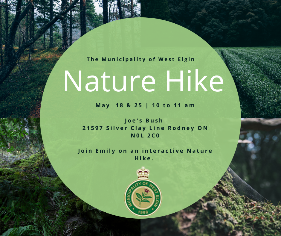 Nature Hike Poster