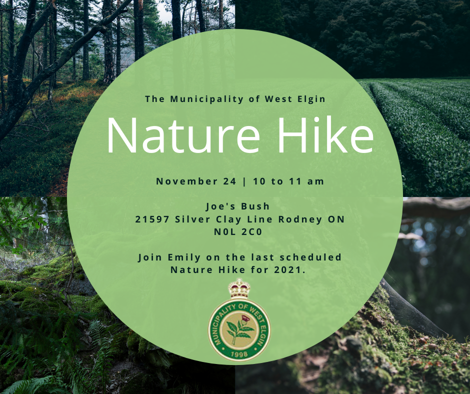 Last Nature Walk Poster