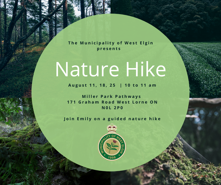 Nature Hike Poster for August 