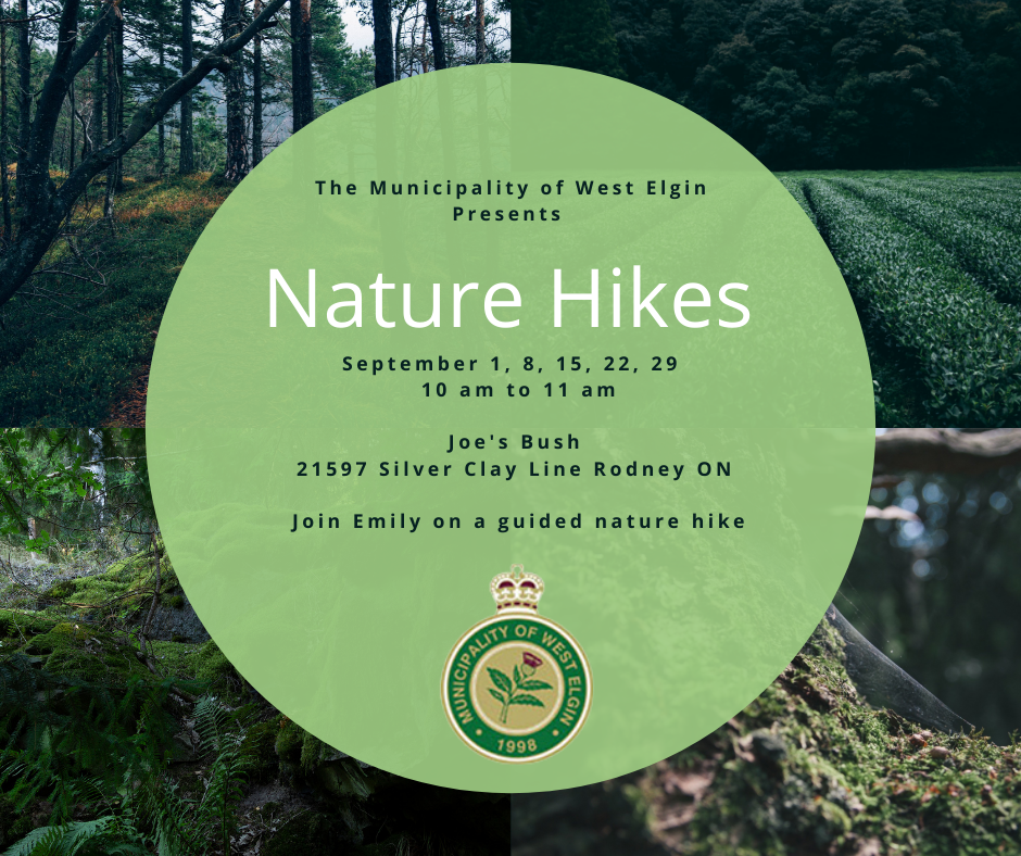 Nature Walk Poster September 